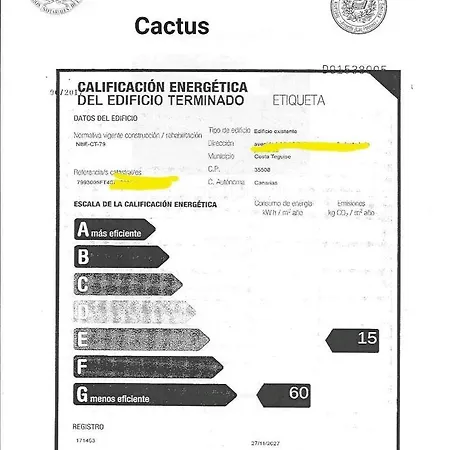 Cactus Apartamento Costa Teguise