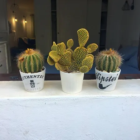 Apartamento Cactus