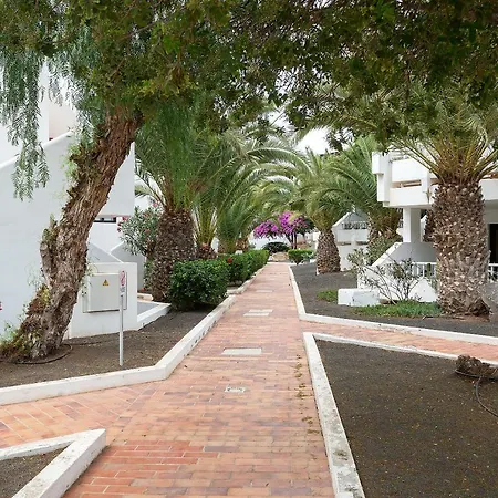 Apartment Daruma Costa Teguise